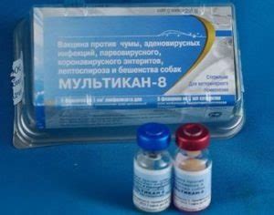 Вакцина Мультикан (4, 6, 8) для собак: инструкция по применению, схема ...