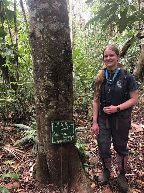 Day 6: The Poisonwood Tree | BIOS 319: Tropical Field Biology