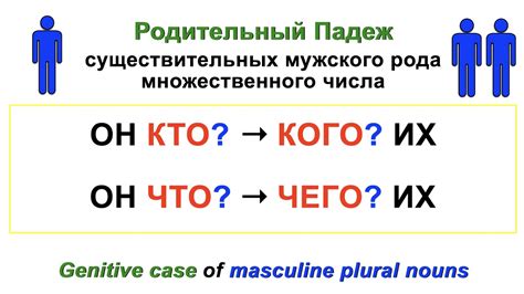 Genitive Case Of Masculine