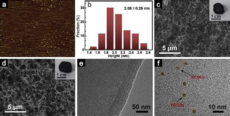 A B Atomic Force Microscopy AFM Image And Corresponding Height