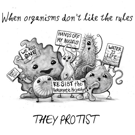 The Only Thing I Like More Than Puns Are Biology Related Puns Protest