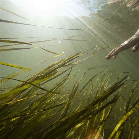 enjoy rivers  rivers trust