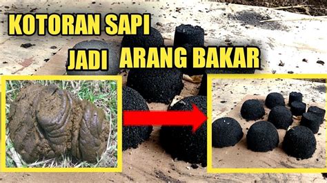 INOVASI CARA BUAT ARANG DARI KOTORAN SAPI YouTube