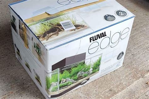Fluval Edge Review: Best 6 and 12 Gallon Fish Tank