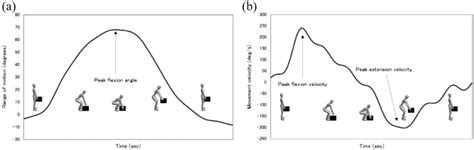 Time Series Variation Of The Velocity Of Trunk Movement During The