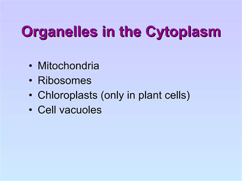 Cell Structure And Organisation Ppt