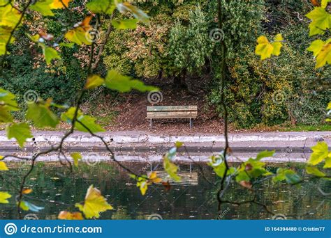 Beautiful View Lonely Bench Lake Park Outdoor Reflection Green Autumn