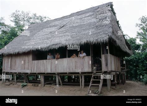 Traditional Thatched Roof Stilt House In The Amazon Region Of Peru