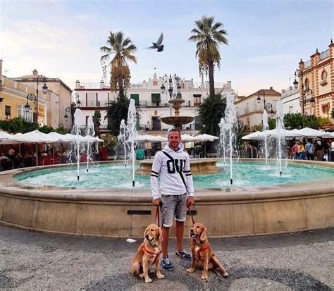 Qu Ver En San Lucar De Barrameda Camping El Robledo