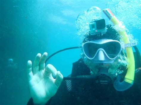 Sesimbra Beginner S Scuba Diving In Arrabida Natural Park Getyourguide