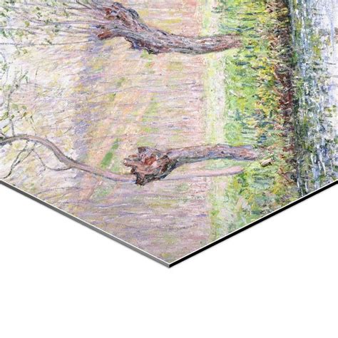 Claude Monet Weidenb Ume Fr Hling Hexagon Bild Auf Alu Dibond Kaufen