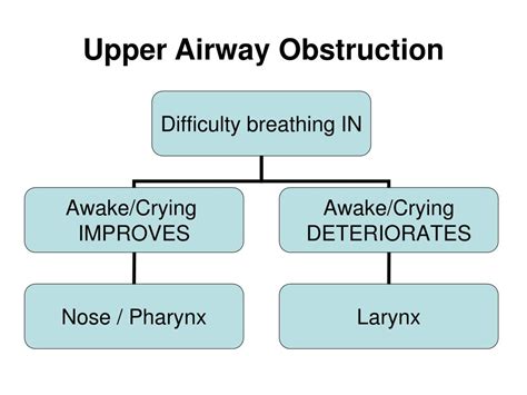 Ppt Upper Airway Obstruction Powerpoint Presentation Free Download