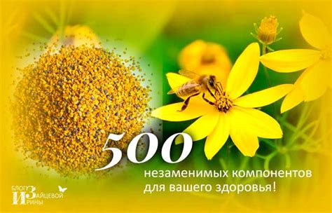 Цветочная пыльца. Полезные свойства. Лечение. Применение