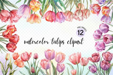 Watercolor Tulips Flowers Clipart Graphic By Marshall Designs