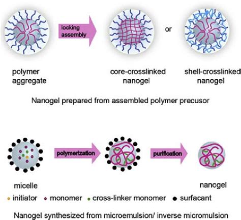 Methods Of Nanogel Synthesis The Polymer Precursor Method And The