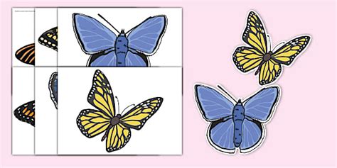 NEW Butterfly Cut Outs Profesor Hizo Twinkl