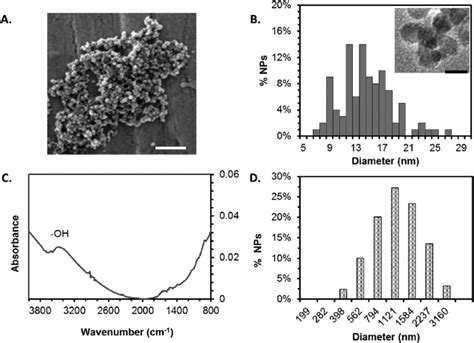 Chemical And Physical Characterization Of Iron Oxide Nanoparticles A