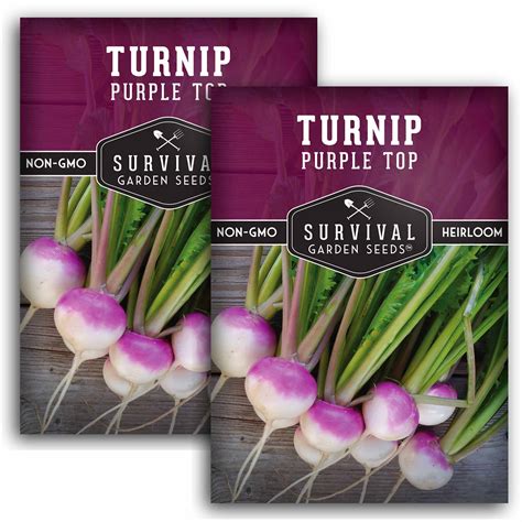 Purple Top Turnip Seeds For Planting Survivalgardenseeds