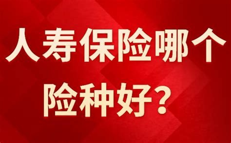 人寿保险哪个险种好？有哪些推荐？ 知乎