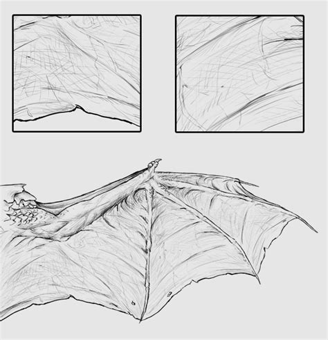 Dragon Wings Drawing At Explore Collection Of