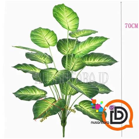 Jual Daun Keladi Jumbo Putih Daun Aglonema Plastik Bunga Hias