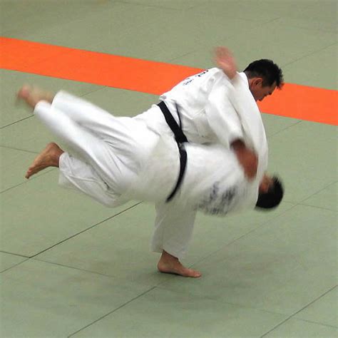 Picture Information: Judo of Japan