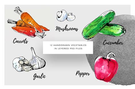 Ink Watercolour Vegetables Masterbundles