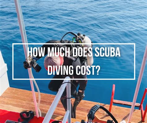 How Much Does SCUBA Diving Cost Wetsuit Wearhouse Blog