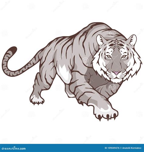 Tigre De Bengala Blanco Ilustración Del Vector Ilustración De Japonés 109049476