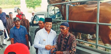 Jelang Hari Raya Qurban Pemda Malra Salurkan Ekor Hewan Qurban