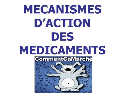 MECANISMES DACTION DES MEDICAMENTS Rappel De La Dfinition