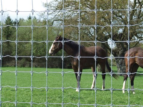 Hot Dipped Galvanized Knot Farm Field Fence Livestock Prevent Hinge Joint Mesh Knot Fence Farm