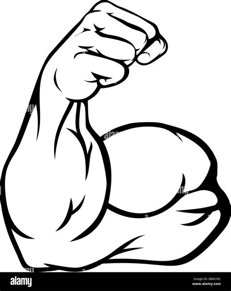 Strong Arm Showing Biceps Muscle Stock Vector Image Art Alamy