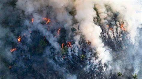 Prepare se Temporada do fogo se aproxima da Amazônia e pode bater