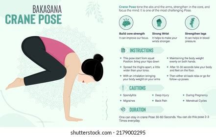 Crane Pose Guide Benefits Yoga Poses Stock Vector (Royalty Free ...