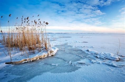 Page 5 | Frozen Baltic Images - Free Download on Freepik