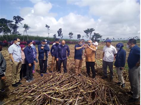 Kppip Dorong Percepatan Revitalisasi Industri Gula Nasional Dan