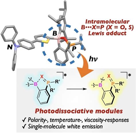 Photodissociative Modules That Control Dualemission Properties In