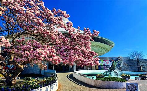 Explore The Museum of Vancouver like a Boss - Vancouver Planner