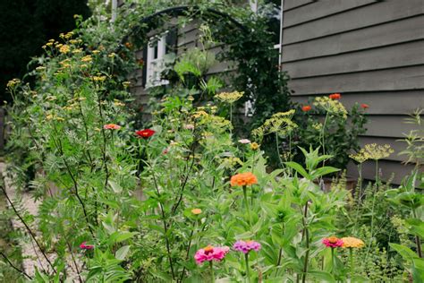 Your Guide To Planting Flowers In A Vegetable Garden • Gardenary