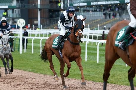 Miss Tabitha Worsley Winning Jockey On Editorial Stock Photo - Stock ...