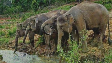 Bouwsteen Dagen Avontuurlijk Noord West Sumatra Deze Avontuurlijke