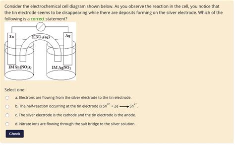 Consider The Electrochemical Cell Diagram Shown Below As You Observe