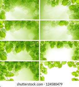 Green Leaves Background Border Design Elements Stock Photo 124580479 ...