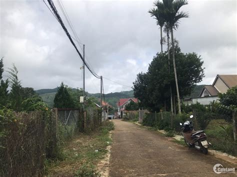 Bán Gấp Lô Đất Xây Dựng View Thung Lũng Tà Nung Đà Lạt