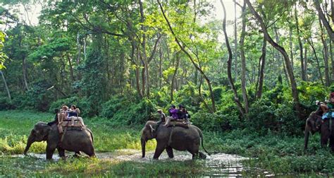 Chitwan Package Tour 2 Nights 3 Days By Himalayan Adventure Treks