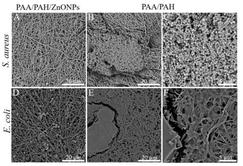 Materials Free Full Text Antimicrobial Paa Pah Electrospun Fiber