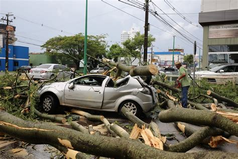 Árvore cai e atinge dois carros durante temporal em Toledo Oeste e