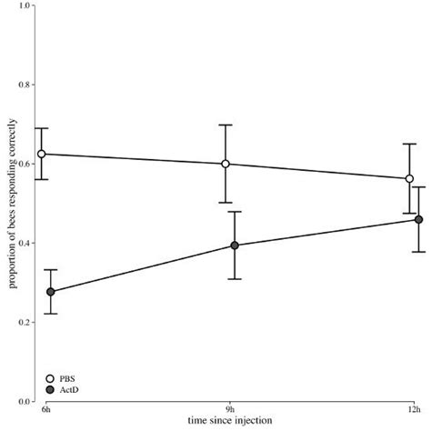 Time Dependent Effect Of Actinomycin D Transcription Blocker On