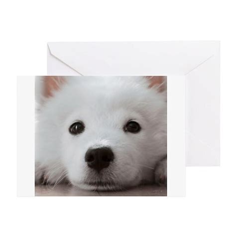 Happy Birthday Samoyed Puppy Greeting Card Happy Birthday Samoyed Puppy